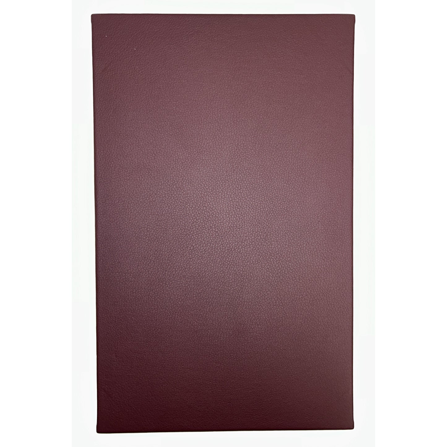 Single Panel 1-View Menu Cover & Holder | 10 Pack