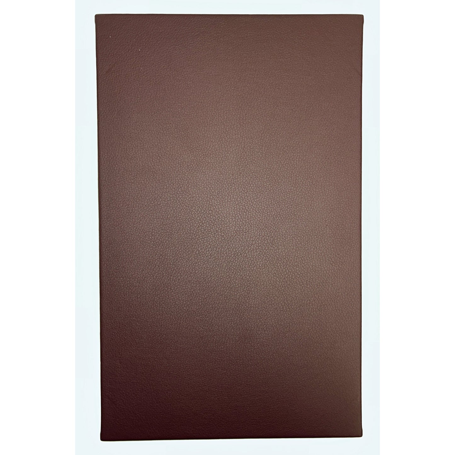 Single Panel 1-View Menu Cover & Holder | 10 Pack